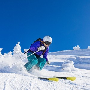 开云下载-比利时马术协会建立马匹基因数据库，促进马匹选育与训练。，比利时的马