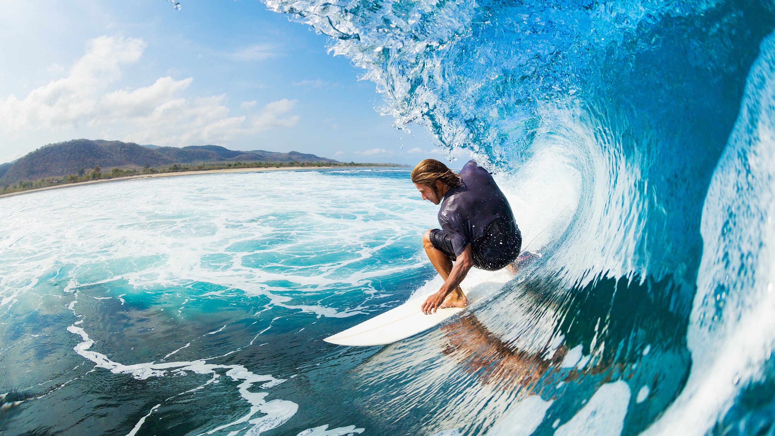 夺冠的“秘密武器”:不可或缺的核心球员